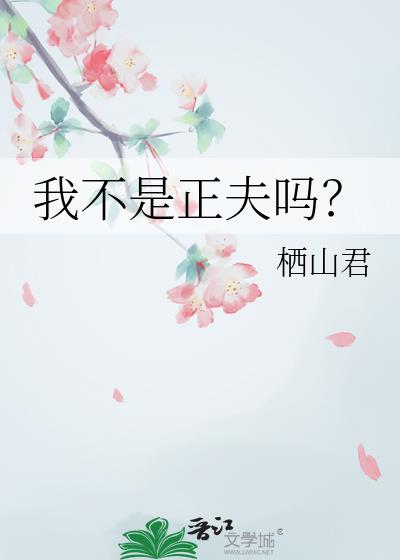 我不是正夫吗?
