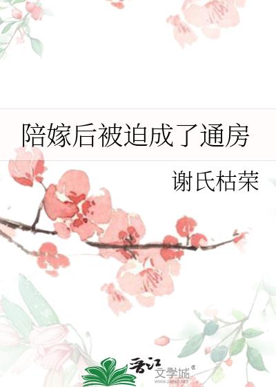 陪嫁后被迫成了通房