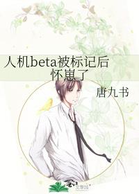 人机beta被标记后怀崽了