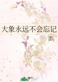 大象永远不会忘记
