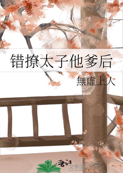 错撩太子他爹后