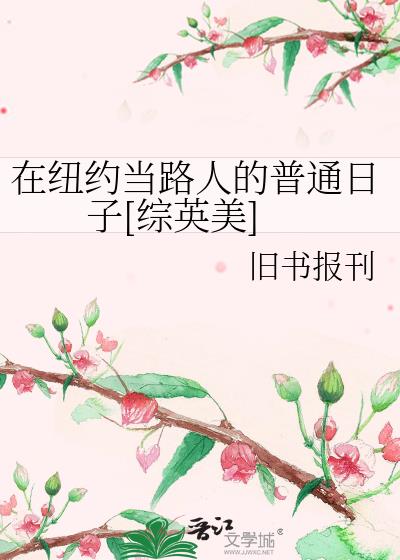 ��ŦԼ��·�˵���ͨ����[��Ӣ��]